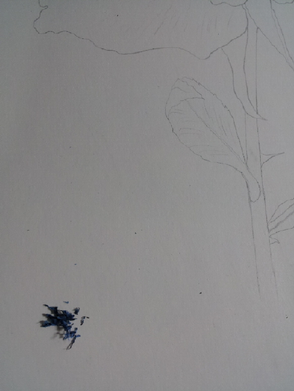 지우개3지우개 지움것 -12011-09-27 23.03.39.jpg